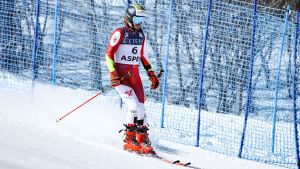 Manuel Feller musste den Riesentorlauf in Aspen noch im ersten Durchgang verletzungsbedingt abbrechen