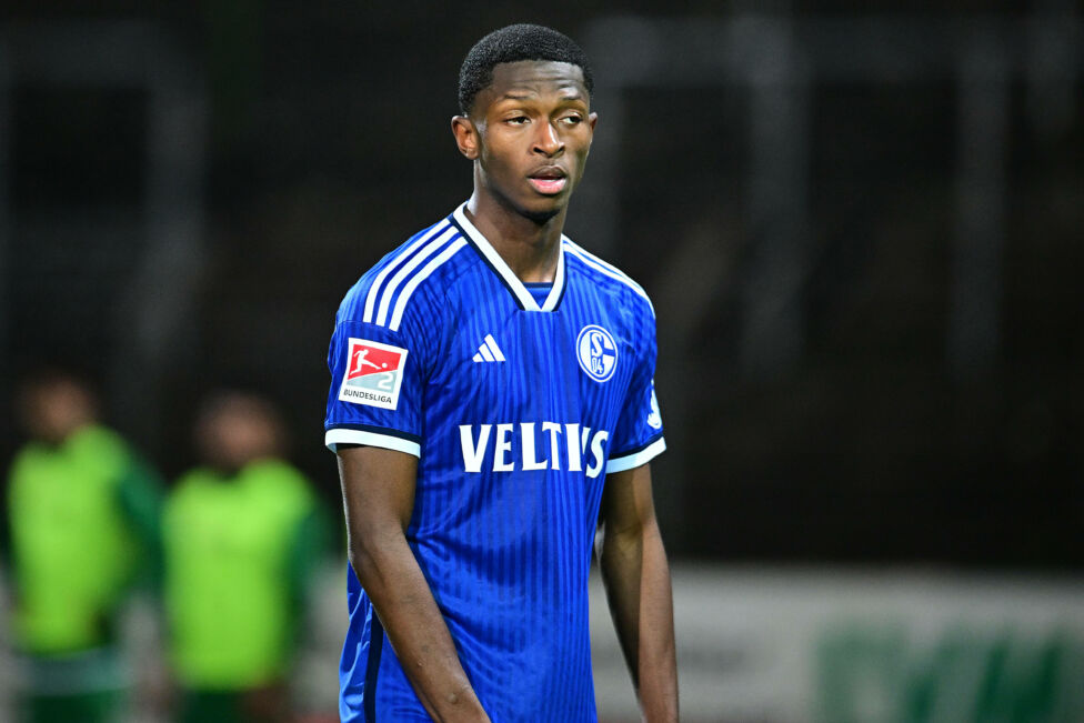 Hartberg verpflichtet Nelson Amadin