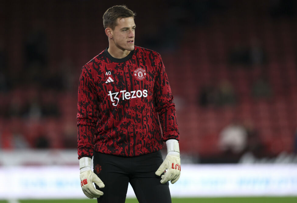 Blau-Weiß Linz hat sich mit Torhüter Radek Vitek verstärkt.