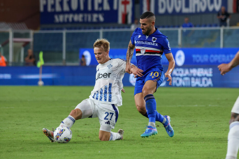 Braunöder Como