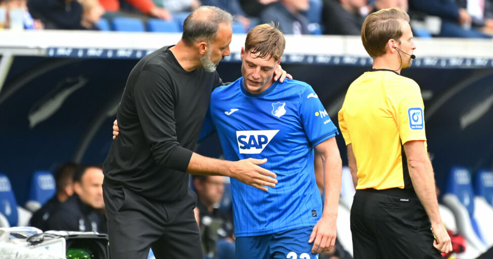 Hoffenheim Trainer