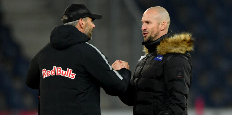 Ilzer Hoffenheim Rose