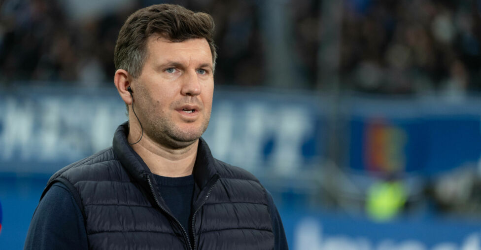 Schicker Ilzer Sturm Hoffenheim