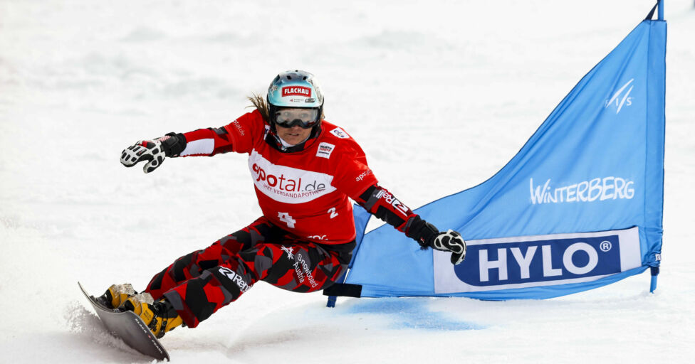 Riegler Snowboard