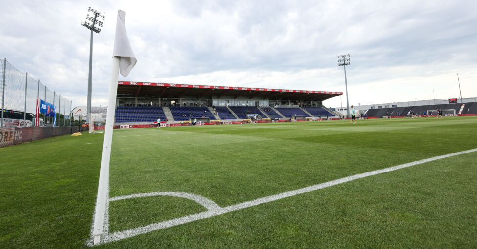 Young Violets Neustadt